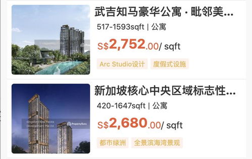 新加坡房产经纪最怕什么 不是市场冷，是中国人搜不到你